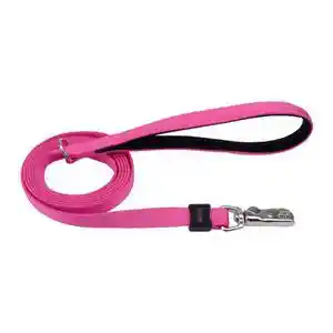 Leash, Pink, 1" X 06'