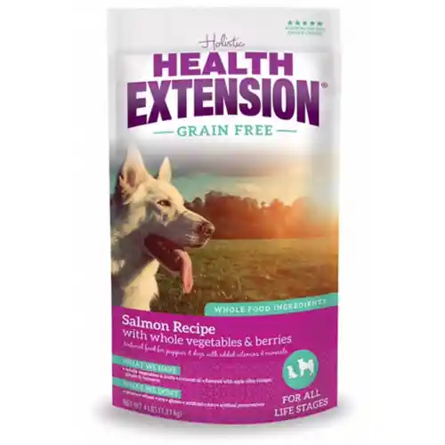 Grain Free Salmon Recipe Dry Dog Food 23.5-lb