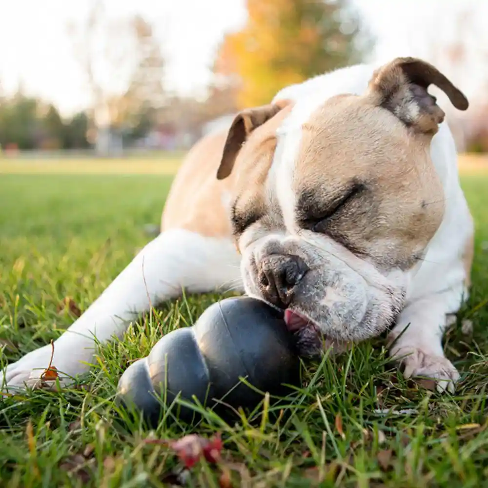 Classic Extreme Dog Toy Large