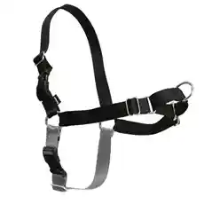 Easy Walk Harness, No Pull Dog Harness Large Black