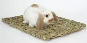 Marshall Peters Rabbit Woven Grass Mat