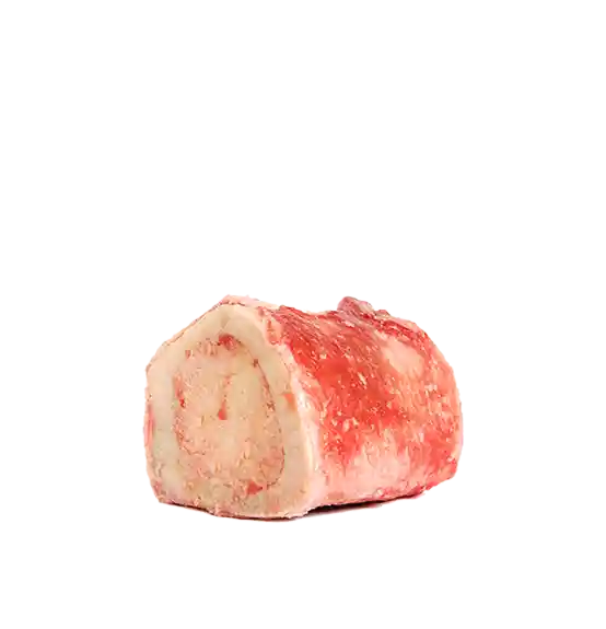 Raw Recreational Beef Marrow Bone (small Size) S