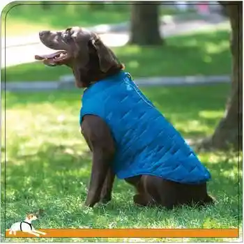Kurgo Loft Jacket Blue/orange Med