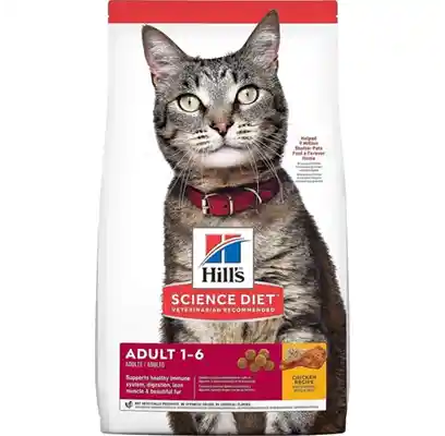 Adult Chicken Recipe Dry Cat Food 3.5-lb