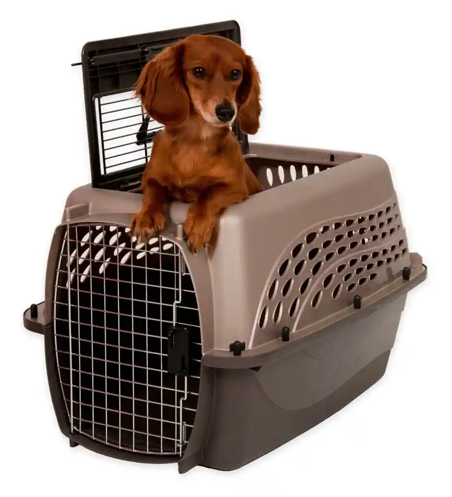 Petmate 2 Door Top Load Kennel Up to 15 Lbs