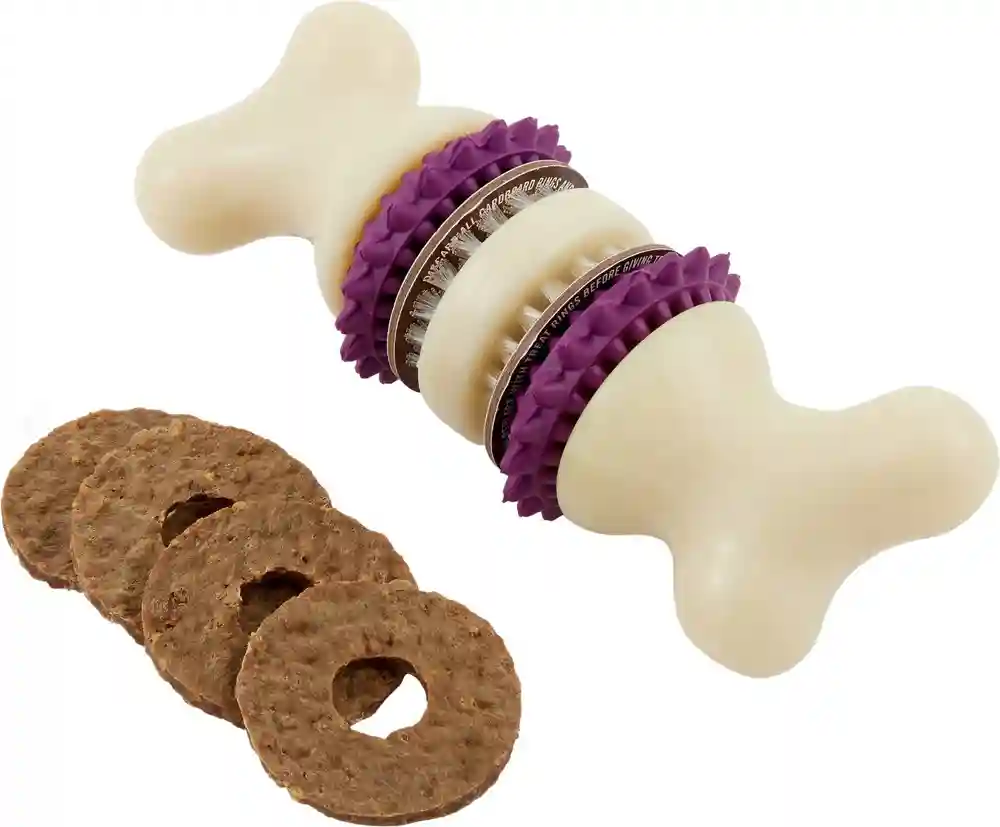 Busy Buddy Bristle Bone Large
