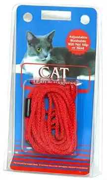 Braided Harness & Lead Cat Red