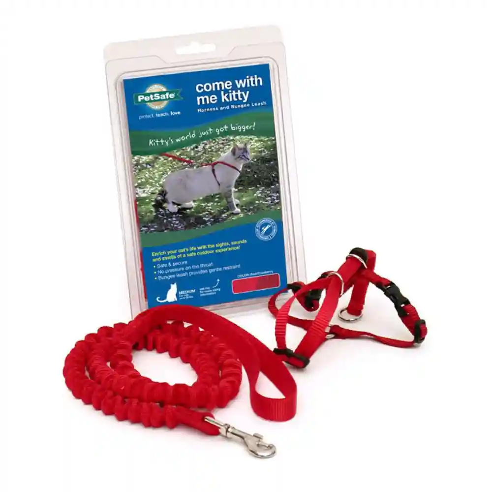 Harness & Bungee Leash Small Red