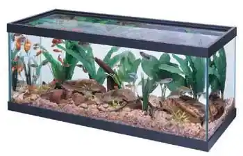 30 Gallon Black Trim Aquarium 36x12x16