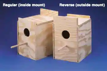 Nest Box Parakeet Reverse