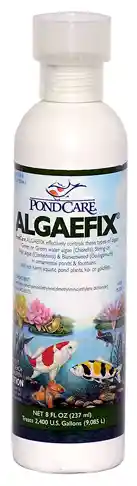 Aph Pond Algae Fix 8 Oz