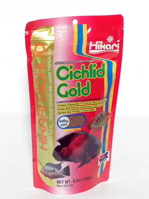 Hiraki Cichlid Gold 8.80z Baby
