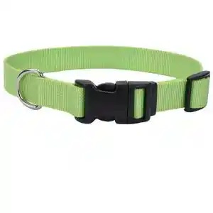 Adjustable Dog Collar With Plastic Buckle, Lime, 3/4" X 14"-20"