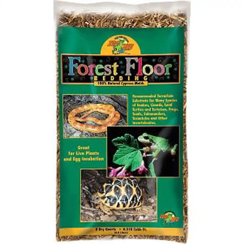 Zoomed Forest Floor Bedding 8 Quart