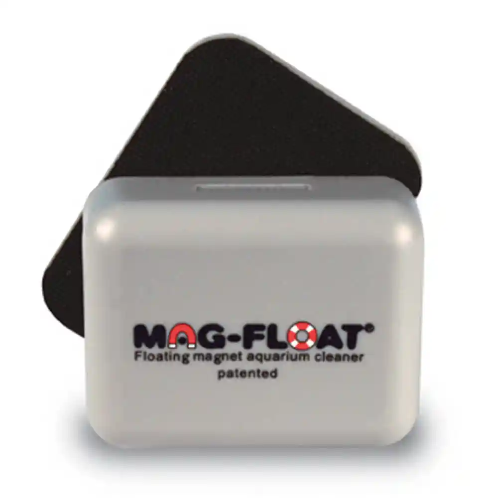 Mag Float Large Glass