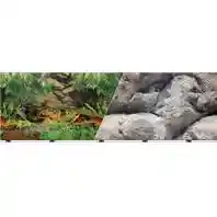 Background Rainforest/bolders 19"