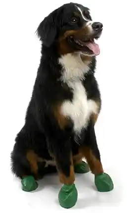 Waterproof Dog Boots, Dark Green, 12 Count X-large