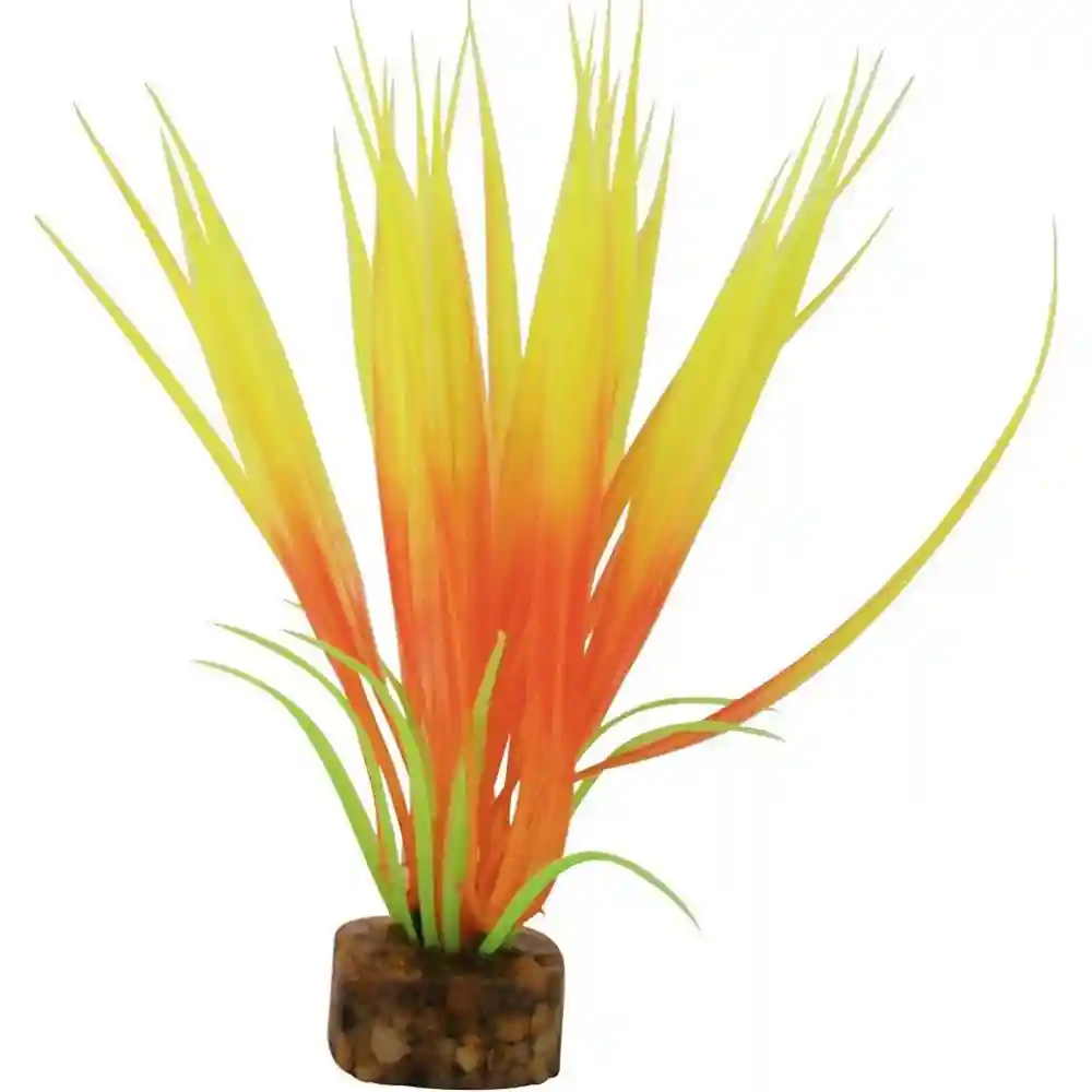 Tet Plnt Glofish Flo Or/yl Sm;
