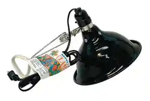 Clamp Lamp Economy With Dome 8.5"
