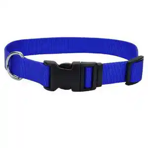 Adjustable Dog Collar With Plastic Buckle, Blue, 3/8" X 8"-12"