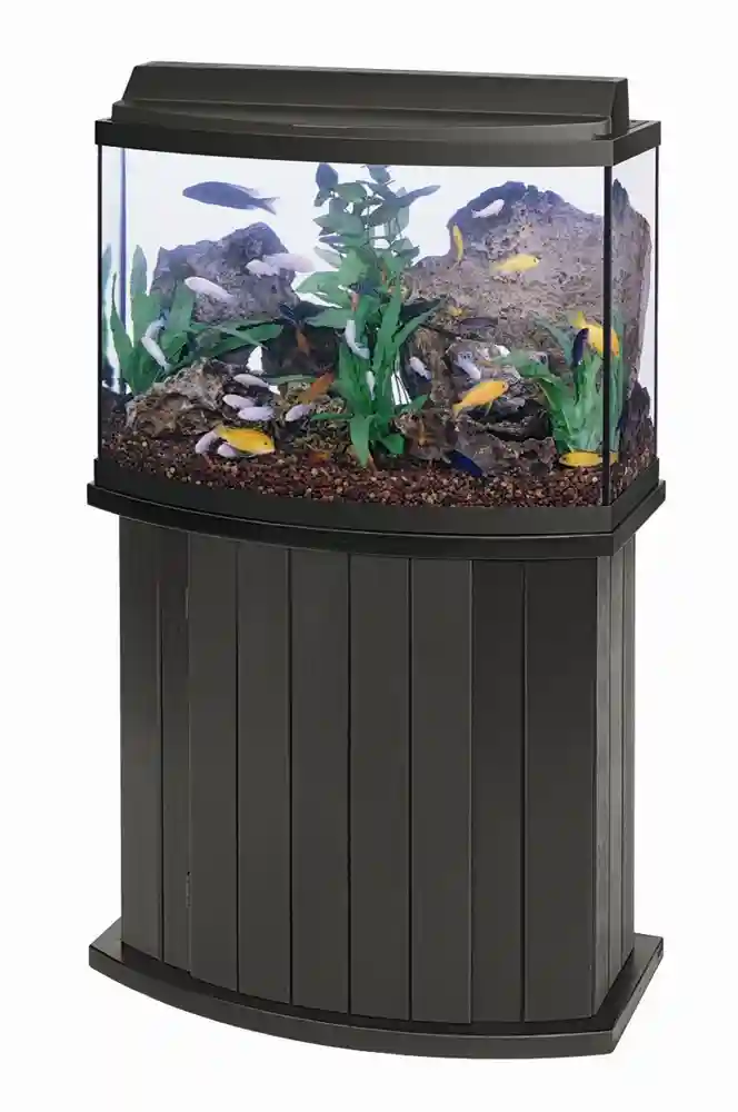 46 Gallon Black Trim Bowfront Aquarium 36"x16"x21"