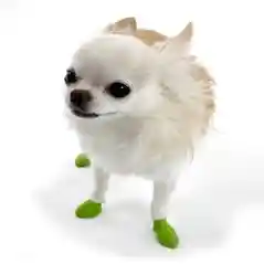 Waterproof Dog Boots, Light Green, 12 Count Tiny