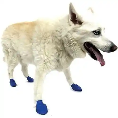 Waterproof Dog Boots, Blue, 12 Count Medium
