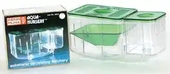 Aqua Nursery Breeder