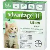 Advantage 2 Cat Kitten Under 5 Lbs