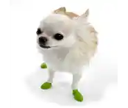 Waterproof Dog Boots, Light Green, 12 Count Tiny