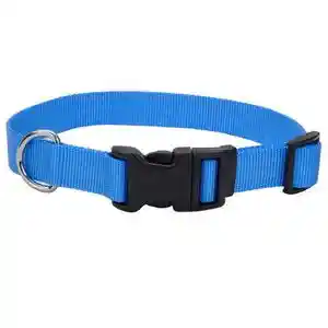 Adjustable Dog Collar With Plastic Buckle, Blue Lagoon, 1" X 18" - 26"
