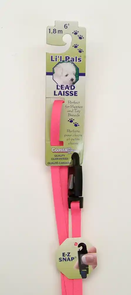 Dog Leash With E-z Snap®, Neon Pink, 3/8" X 06'