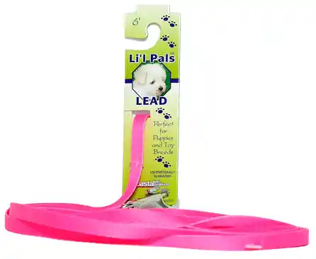 Dog Leash With E-z Snap®, Neon Pink, 3/8" X 06'