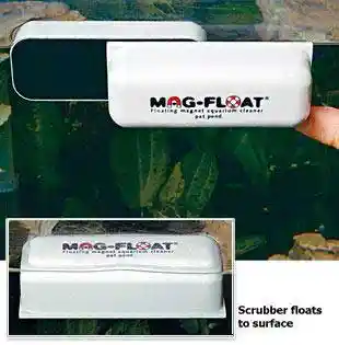 Mag Float Large Glass