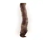 Raw Bar Freeze-dried Bully Stick Treat For Dogs 1 Stick