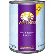 Wellness Can Cat Beef & Salmon 12.5 Oz
