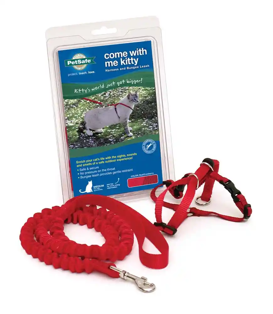 Harness & Bungee Leash Small Red