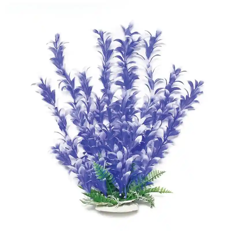 Plant Bacopa Blue/white 9"