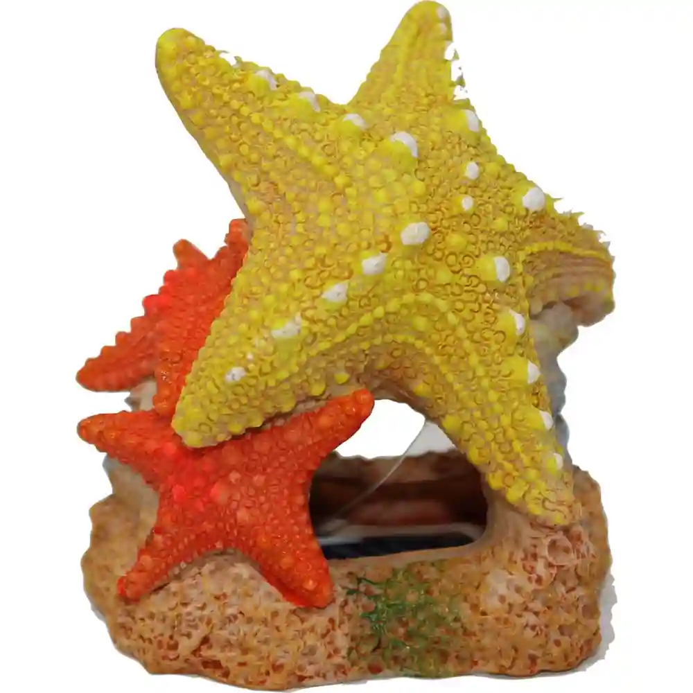 Ble Ornmt Sea Star Duo