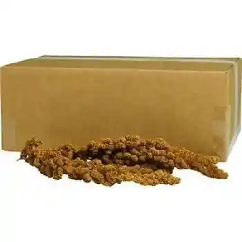 Millet Spray Honey Gold 500 Count
