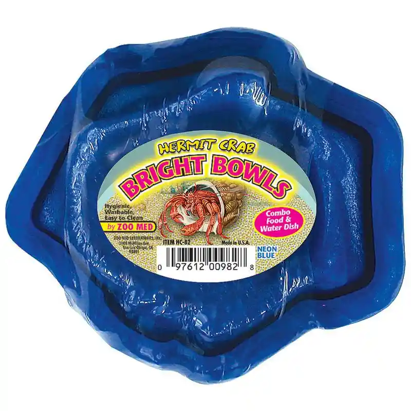 Hermit Crab Bright Bowls-neon Blue