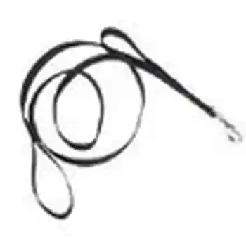 Double Handle Dog Leash, Black, 1" X 06'