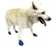 Waterproof Dog Boots, Blue, 12 Count Medium