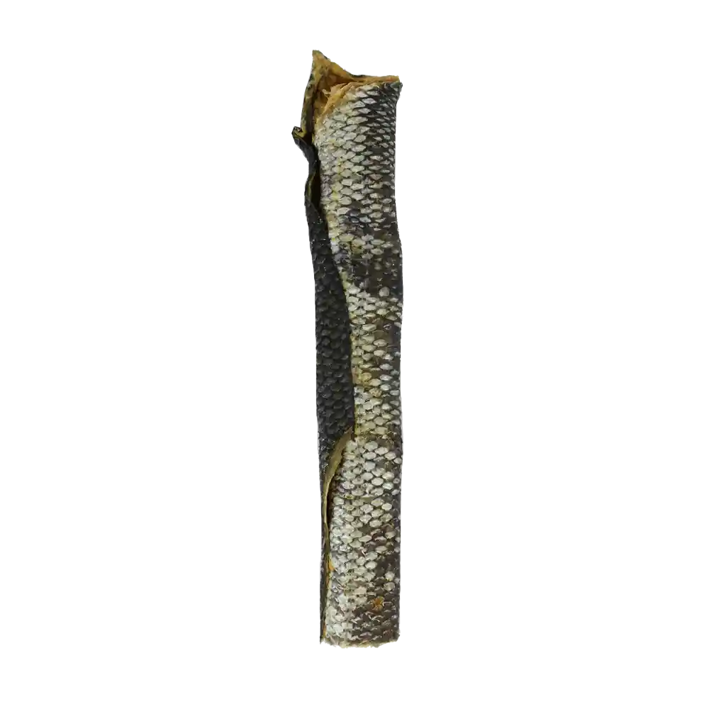 Raw Bar Freeze-dried Salmon Skin Treat For Dogs 1 Salmon Skin