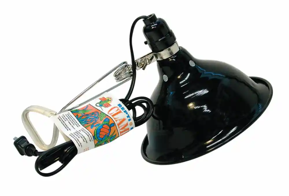 Clamp Lamp Economy With Dome 8.5"