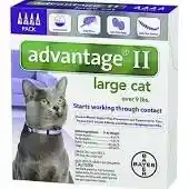 Advantage Ii Cat Purple Over 9 Lbs 4 Pk