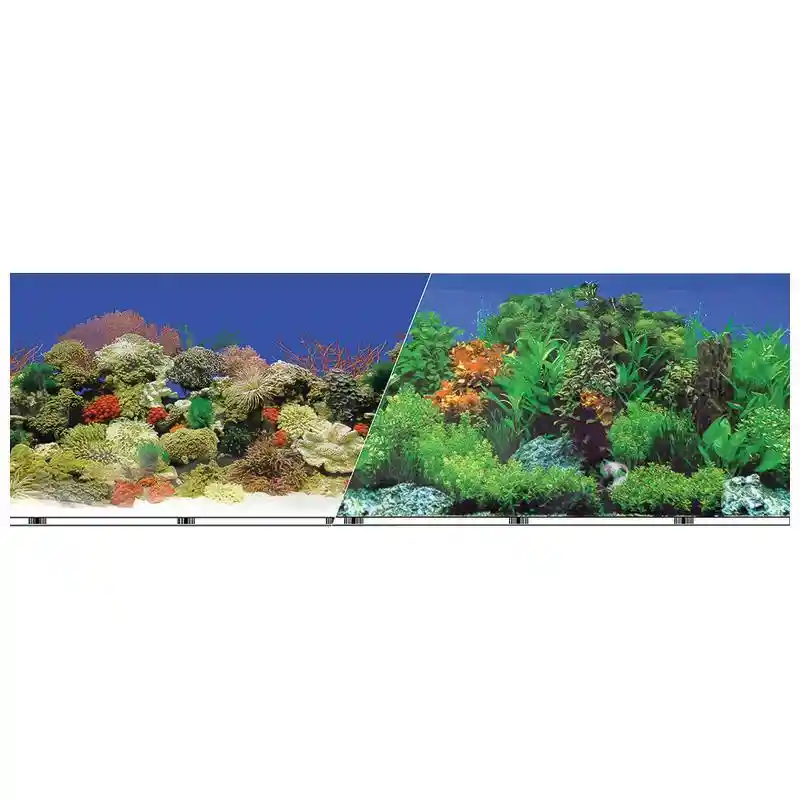 Background Carbon Coral/fresh 24"