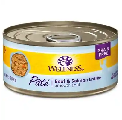 Wellness Beef & Salmon Cat 5.5 Oz