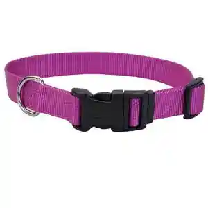 Adjustable Dog Collar With Plastic Buckle, Orchid, 1" X 18" - 26"