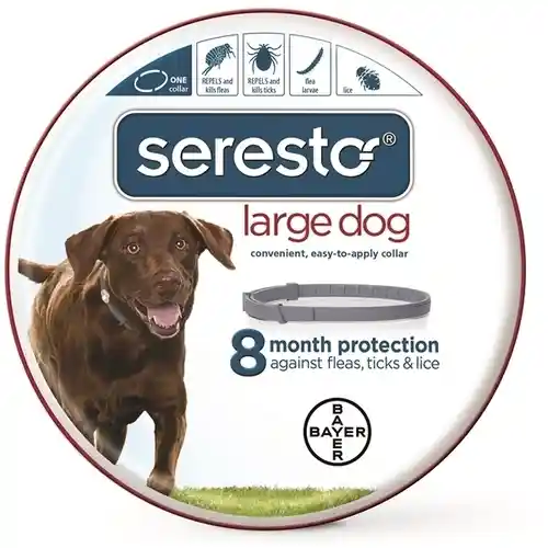 Seresto Large Dog 8 Month Flea/tick Collar